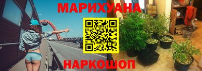 стаф Новодвинск