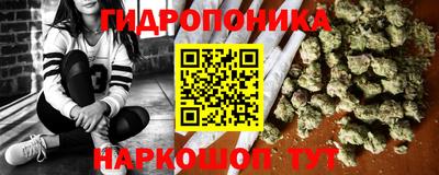 стаф Новодвинск