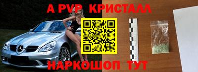 стаф Новодвинск