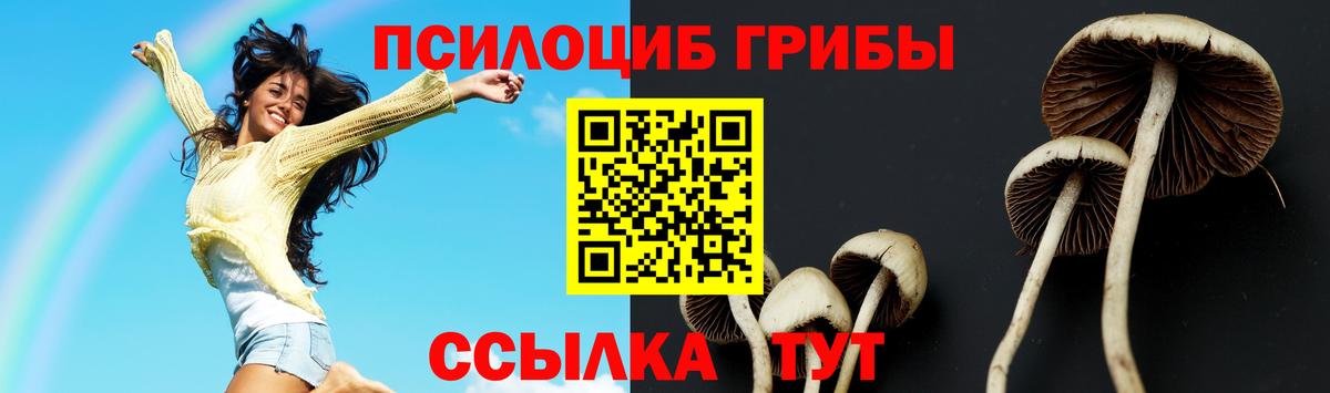 Псилоцибиновые грибы мицелий Тамбов